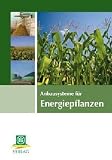 Produkt-Bild: Anbausysteme f&uuml;r Energiepflanzen