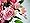 Artificial Silk Flower Rose w/ Buds Freesia Diamante Posy/Bouquet from GT Decorations