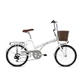 Viking Shopper Non-Folding Unisex Six Speed 20" Wheel Bike