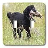 Florene Dog - Standard Poodle - Light Switch Covers - double toggle switch