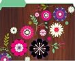 International Arrivals Helena Filex Standard File Folders (122-17)