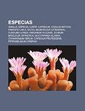 Especias: Vanilla, Especia, Curry, Capsicum, Crocus Sativus, Pimiento Chile, Silfio, Backhousia Citriodora, Curcuma Longa, Origa ORIGA