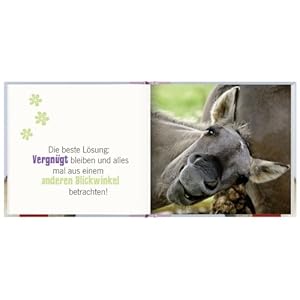 Das Leben ist doch ein Ponyhof