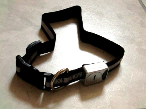 Beleuchtetes LED Hundehalsband – mit Clip-Verschluß