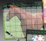 Horse Equestrian Dry Erase Calendar Wall Sticker Decor