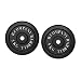 Guss 10,0Kg (2x5,0) Hantelscheiben Hantel Gewichte Scheiben Hanteln 30/31mm
