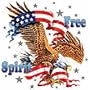 Free Spirit Eagle Adult Sweatshirt