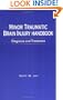Minor Traumatic Brain Injury Handbook: Diagnosis and Treatment