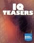 Pocket Puzzlers II: IQ Teasers