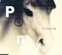 Pony