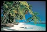 Tropical Beach Framed Art Poster Print, 36x24