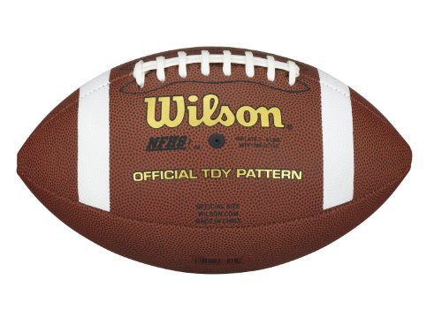 Wilson NCAA Composite Football