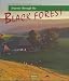 Journey Through The Black Forest