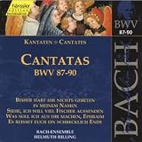 Bach: Cantatas, BWV 87-90 (Edition Bachakademie Vol 28) /Rilling