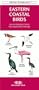 Eastern Coastal Birds: An Introduction to Familiar Species (Pocket Naturalist)