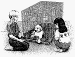 Woodstream #9420 29x22x25 Medium Dog Crate