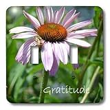 Patricia Sanders Flowers - Inspirational Gratitude - Light Switch Covers - double toggle switch