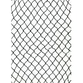 Katzenschutznetz Katzennetz Balkonnetz Freigang Netz 4 x 10m
