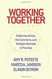 Working together : collective action, the commons, and multiple methods in practice