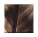 Canales - Details by Jesse Canales. Size 7.66 inches width by 7.71 inches height. High Quality Art Poster Print