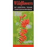 wildflowers of central texas a guide to common native species quick reference guides