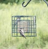 Duncraft Suet Sanctuary