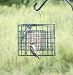 Suet Sanctuary 4