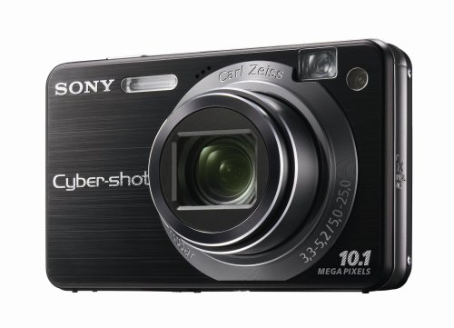 Sony Cybershot DSCW170 & B 10.1MP Digital Camera with 5x Optical Zoom with Super Steady Shot (Black) image