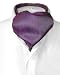 Antonio Ricci ASCOT Solid PURPLE Color Cravat Men's Neck Tie