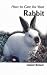 How to Care for Your Rabbit (Your first...series)
