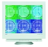 NEC AccuSync 125F 22" Flat CRT Monitor