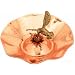 Hummingbird birdbath