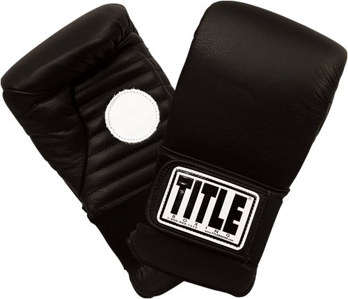 TITLE Boxing Catch-N-Return Mitts