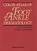 Color Atlas of Foot & Ankle Dermatology
