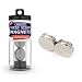 Magcraft NSN0604 1-Inch by 1/8-Inch Rare Earth Disc Magnets, 4-Count