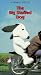 Peanuts: Big Stuffed Dog [VHS]