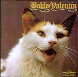 Bobby Valentin