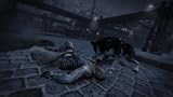 Dead to Rights Retribution (͢����:���ơ�������)