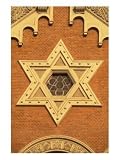 The Great Synagogue of Plzen, Czech Republic Photographic Print by Walter Bibikow, 18
