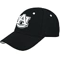 Zephyr Auburn Tigers Black Silver Lining Fitted Hat