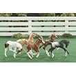 Breyer Stablemates 5 pc Fun Foals Gift Collection