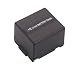 Hi-Capacity Li-Ion Camcorder Battery Panasonic PV-GS200 & NV-GS70 (CGA-DU07)