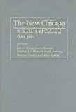 The New Chicago : A Social And Cultural Analysis