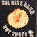 Hot Shots II