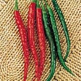 Pepper Seeds - Pepper Kung Pao Hybrid