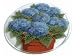 Peggy Karr 14-Inch Glass Hydrangea Platter