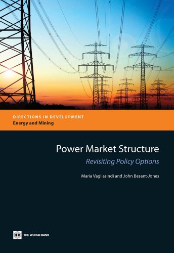 Power Market Structure: Revisiting Policy Options (Directions in Development)