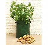 Outdoor Living : pack of 3 potato patio planters - made of tough polyethylene
