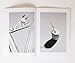 Roe Ethridge and Zin Taylor: The Ceremony and the Spirit