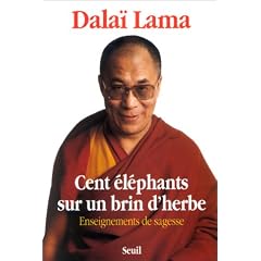 Cent �l�phants sur un brin d'herbe